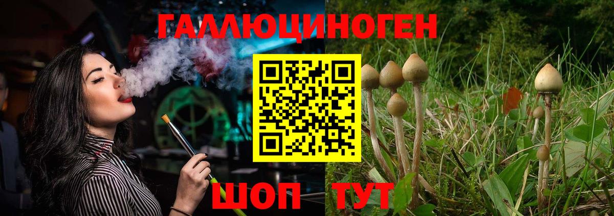 Тара  Галлюциногенные грибы мицелий  Вход с VPN 
